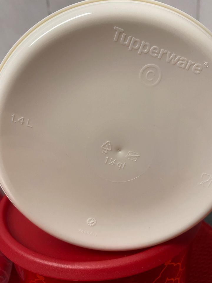 Tupperware Keksdosen Set (2) orientalische Runde 2x in Gottmadingen