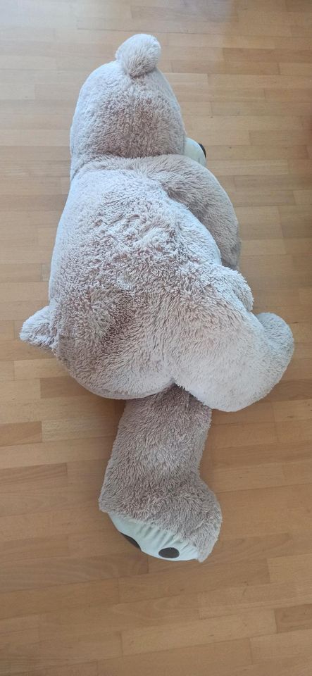 Riesen Teddy Kuscheltier in Leonberg