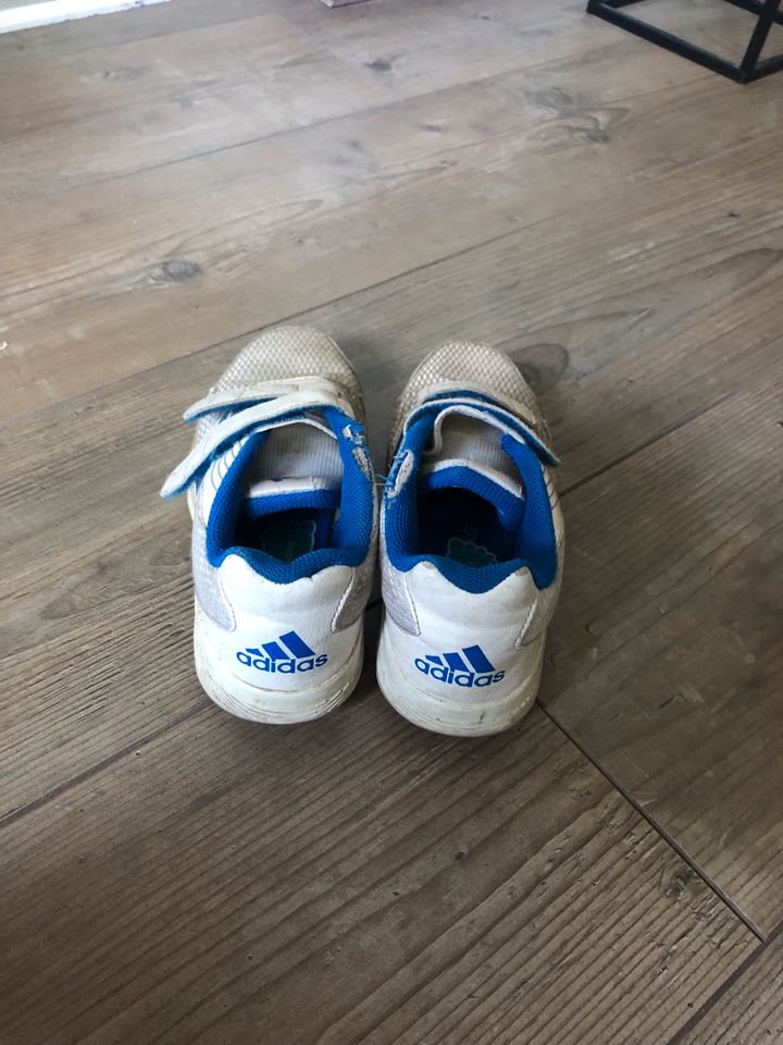 Adidas Sneaker in Berlin