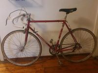 Peugeot Rennrad 70er Jahre Vintage Rad Bayern - Augsburg Vorschau