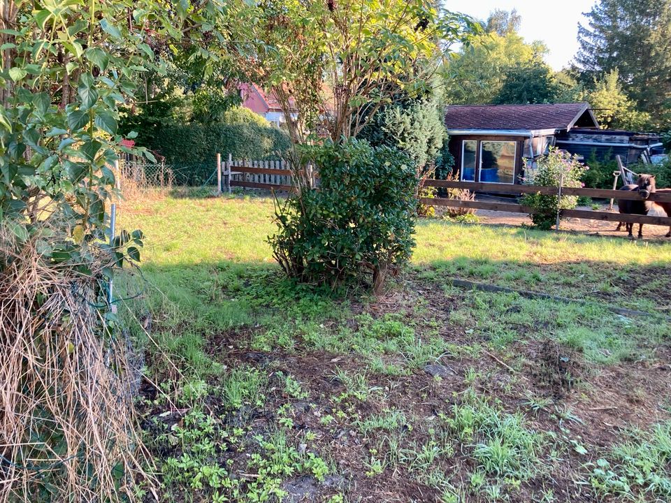 Gartengrundstück zu kaufen - Großraum Leipzig / Zedtlitz in Borna