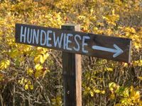 Suche Spielwiese eingezäunt für Hund Nordrhein-Westfalen - Ascheberg Vorschau