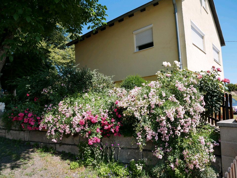 Ferienhaus/Ferienwohnung, Bayern, Franken, Haßberge in Maroldsweisach