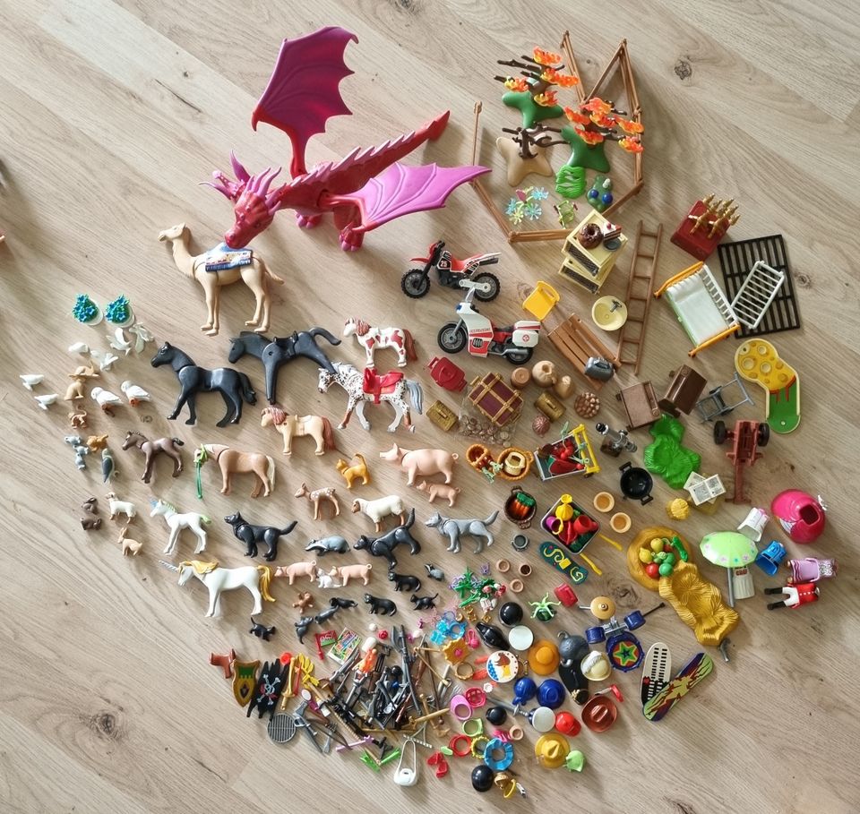 Playmobil-Figuren-Sammlung (ca 150 Figuren plus Tiere u.ä.) in Geist