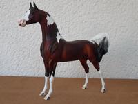 MODELLPFERD PETER STONE ARAB CALVERT OOAK  FCM PINTO USA 2011 LSQ Hessen - Oberursel (Taunus) Vorschau