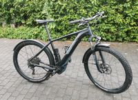 MTB E-Bike Cube Reaction Nordrhein-Westfalen - Balve Vorschau