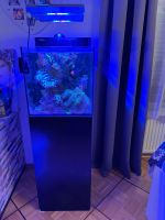Red Sea Max Nano 75 l Aquarium inkl Unterschrank Bayern - Monheim Vorschau