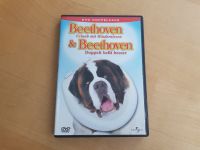 DVD Beethoven Urlaub Hindernisse Doppelt bellt Hund Familien-film Stuttgart - Stuttgart-Nord Vorschau
