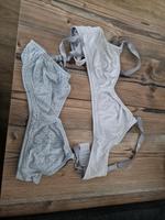 Still BH zu verschenken M /L Sachsen - Geyer Vorschau