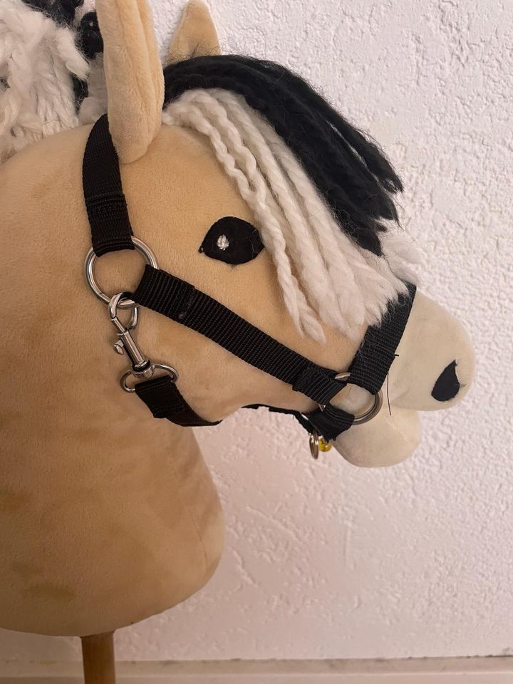 Tolles Fjord Hobby Horse zu verkaufen in Gottmadingen