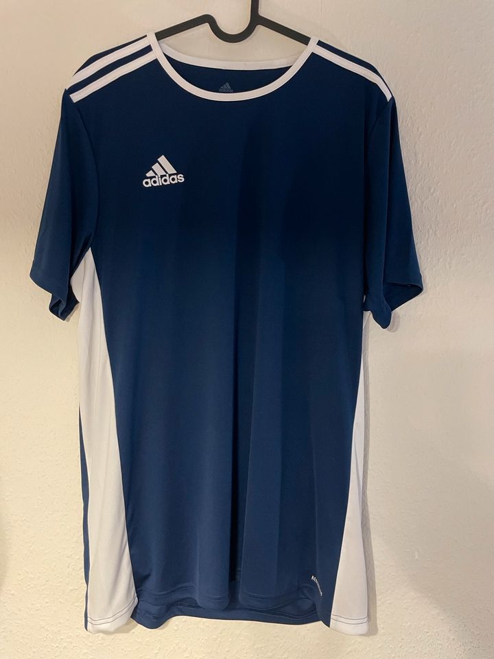 ❤️ ADIDAS Sportshirt Aeroready ~ L ~ Blau weiß Training Shirt in Duisburg