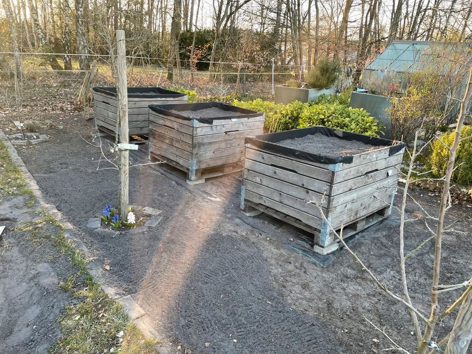 Apfelkisten Holzbox für Hochbeete Pferde Heuraufe Lager Garten in Hannover