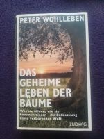 Das geheime Leben der Bäume / Peter Wohlleben München - Ramersdorf-Perlach Vorschau