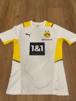 Borussia Dortmund BVB Trainingsshirt 2021/2022 weiß Gr. S Altona - Hamburg Othmarschen Vorschau