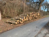 Brennholz, Stammholz Buche Hessen - Groß-Umstadt Vorschau