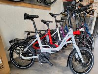 Grecos e-Faltrad mit Bosch und Zahnriemen Leipzig - Großzschocher Vorschau