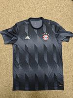 Adidas FC Bayern München Trikot Shirt blau Gr. L Herren Hessen - Sulzbach Vorschau