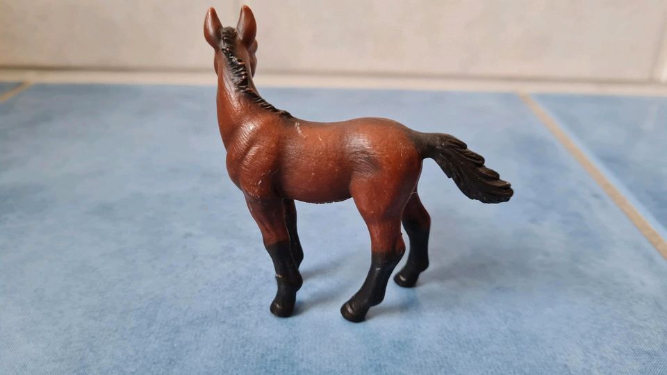 Schleich Pferd Fohlen Hannoveraner Trakehner Andalusier Araber in Schwanewede