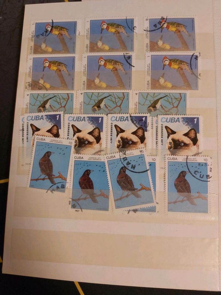 Riesen Briefmarken Sammlung in Neunkirchen am Potzberg