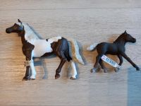 ☆NEU☆ Schleich 13885 Paint Horse Wallach & 13399 Schwarzwälder Niedersachsen - Sauensiek Vorschau