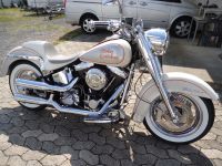 Harley-Davidson FLSTN Softail Deluxe EVO Rheinland-Pfalz - Bad Breisig  Vorschau