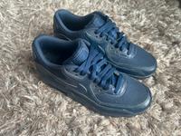 Nike Airmax air Max 90 blau Größe 38 Hessen - Mittenaar Vorschau