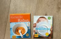Kochen für Babys, Babyernährung, Beikost Start Ludwigslust - Landkreis - Pampow Vorschau