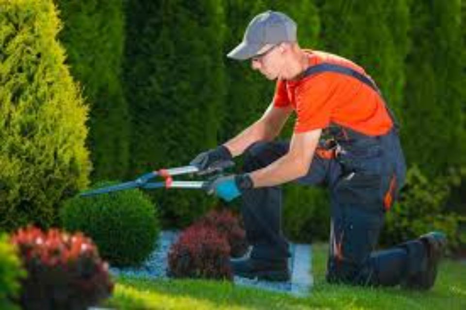 Nachbarschaftshilfe für Gartenarbeit und Hauspflege in Kodersdorf