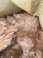 Schafwolle für Hufschuhe zu verschenken Nordrhein-Westfalen - Lippstadt Vorschau
