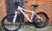 26 Zoll Mountainbike, Rahmengroße M Niedersachsen - Schnega Vorschau