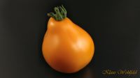 Orange Tomaten Samen Baden-Württemberg - Mannheim Vorschau