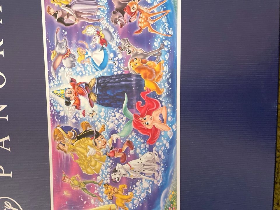 Disney Panorama Puzzle 1000Teile in Gädheim