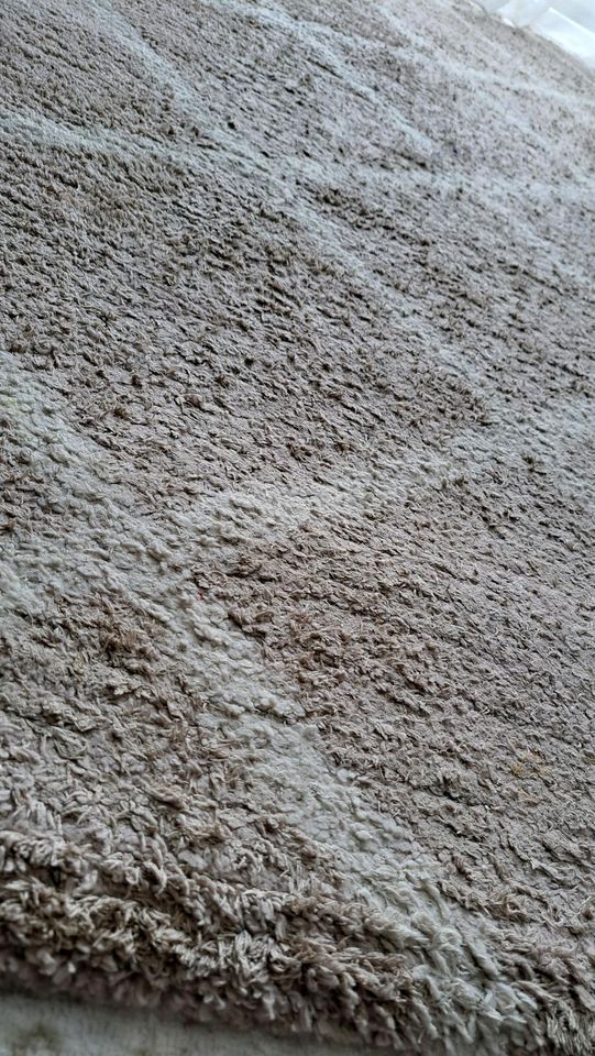 Teppich 160×230 in Landshut