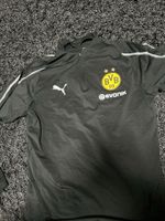 BVB Trainingsshirt | Größe M | Puma | sehr gut erhalten Münster (Westfalen) - Centrum Vorschau