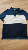 Lacoste Poloshirt in XL fällt etwas kleiner aus Berlin - Marzahn Vorschau