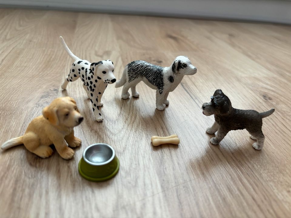 Schleich Set Hunde Welpen in Berlin