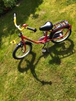 Fahrrad Kinder Puky 14zoll Nordrhein-Westfalen - Oelde Vorschau