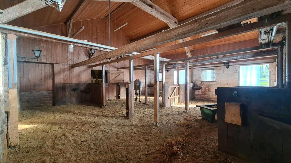 Bewegungsstall/ offenstall / rentnerstall / Offenstallplätze frei in Amorbach