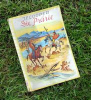 Die Prärie oder Lederstrumpfs Ende von J.F. Cooper Rheinland-Pfalz - Irmenach Vorschau