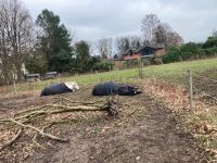 Offenstallplatz Wandsbek - Hamburg Duvenstedt  Vorschau