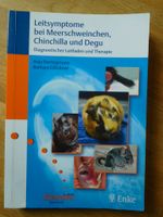 Leitsymptome bei Meerschweinchen Thüringen - Weimar Vorschau