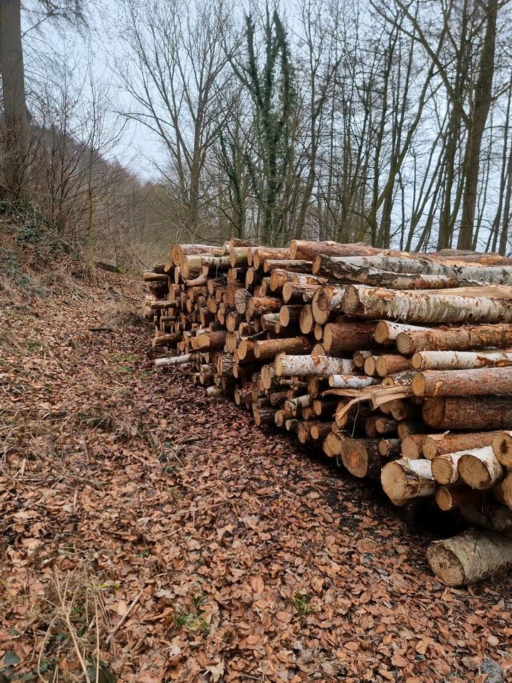 Brennholz, Mischholz,Halb Trocken,Birke, Weide,Kiefer, Kaminholz in Kalletal