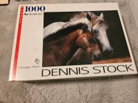 dennis stock 1000 puzzle Pferde Pferd Niedersachsen - Braunschweig Vorschau