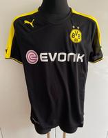 BVB Borussia Dortmund Trikot 2013/2014 Top Zustand Gr: L Bayern - Berngau Vorschau