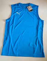NEU mit Etikett - PUMA TeamFINAL Training Jersey - blau - Größe L Niedersachsen - Thedinghausen Vorschau