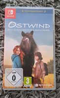 Ostwind nintendo switch Brandenburg - Nuthe-Urstromtal Vorschau