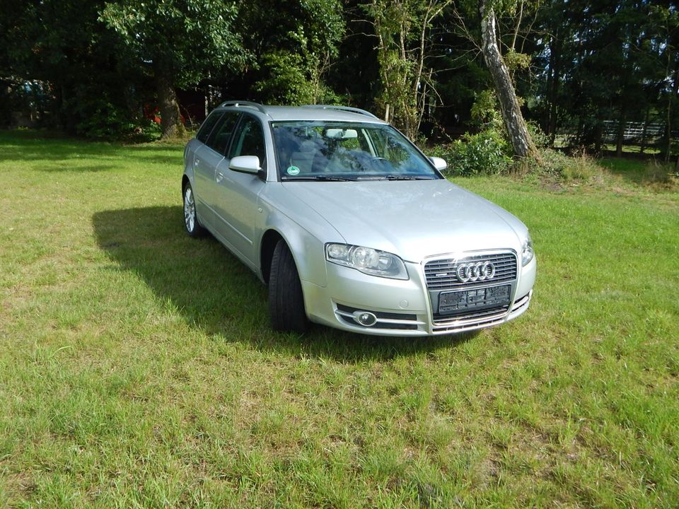 Audi A4 2.0 TDI Quattro in Tülau