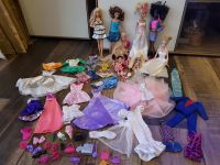 Umfangreiches Barbie Chelsea Zubehör Puppen Kleidung Accessoires Bayern - Neuburg a.d. Donau Vorschau