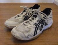 Sportschuhe von Oasics in Gr. 36 Frankfurt am Main - Bergen-Enkheim Vorschau