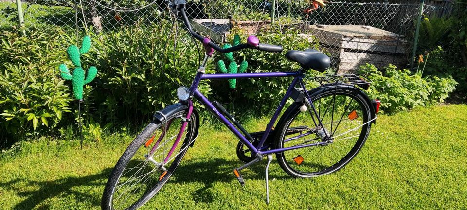 Vintage Herren Fahrrad 28 Zoll in Augsburg